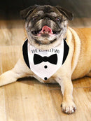 The Gentleman Pet Bandana Small -SmartPrintsInk Designs