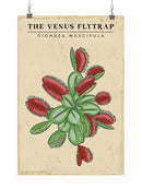 Venus Flytrap Wall Art -SmartPrintsInk Designs