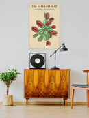 Venus Flytrap Wall Art -SmartPrintsInk Designs