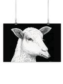 The Lamb Who Spoke Wolf Wall Art -Halit Kurtulmus Aytoslu Designs