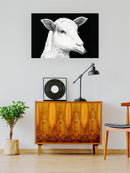The Lamb Who Spoke Wolf Wall Art -Halit Kurtulmus Aytoslu Designs