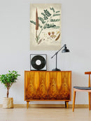 Botanical Notes And Drawings Wall Art -A. Descubes Designs