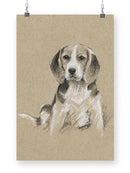 Breed Sketches. Wall Art -Ethan Harper Designs