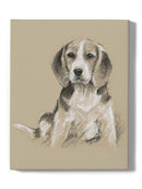Breed Sketches. Wall Art -Ethan Harper Designs