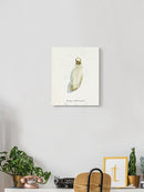 Good Luck Charm Iii Wall Art -Grace Popp Designs