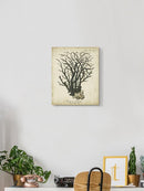 Turquoise Esper Coral I Wall Art -Johann Esper Designs