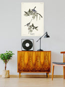 Bluegrey Flycatcher Wall Art -John James Audubon Designs