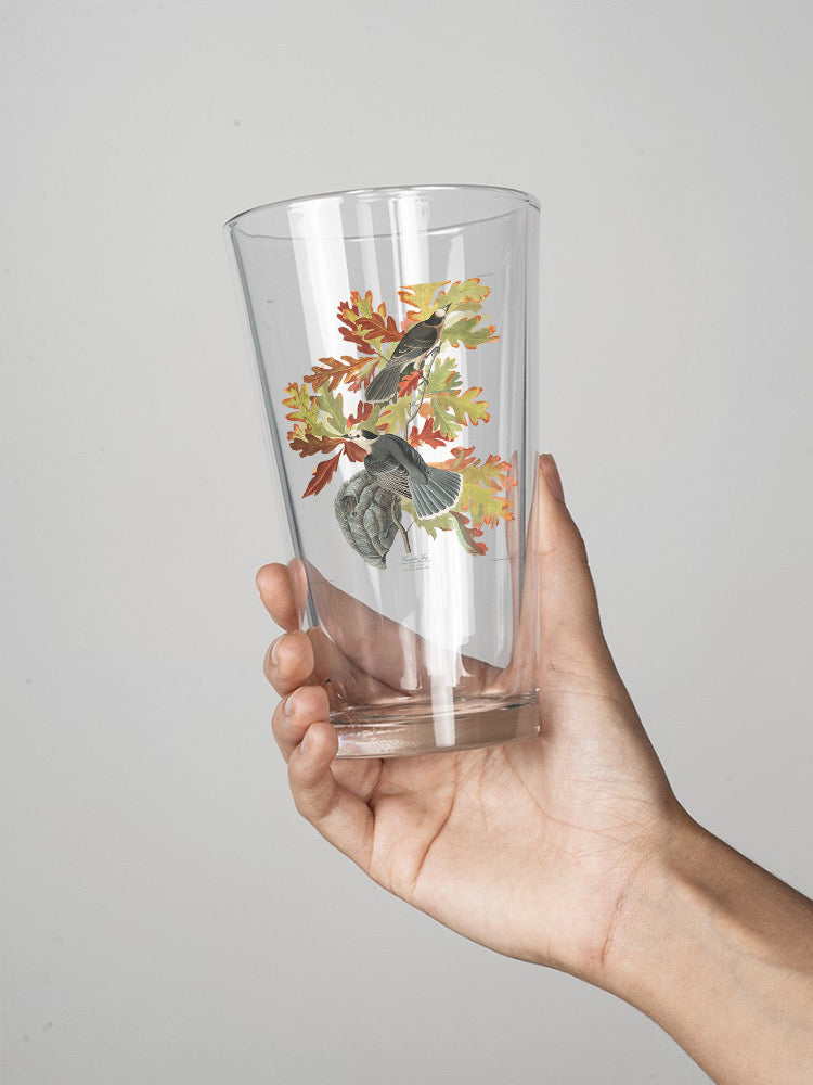 Canada Jay Ii Pint Glass -John James Audubon Designs