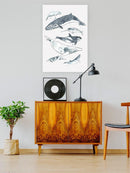 Cetacea. I Wall Art -June Erica Vess Designs