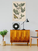Catesby Butterfly Wall Art -Mark Catesby Designs