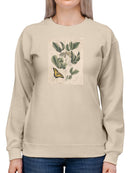 Catesby Butterfly Sweatshirt -Mark Catesby Designs