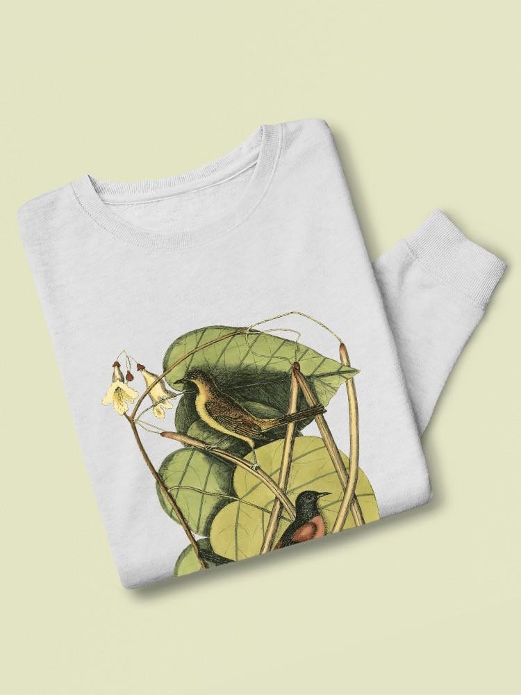 Baltimore Bird. Catalpah Sweatshirt -Mark Catesby Designs