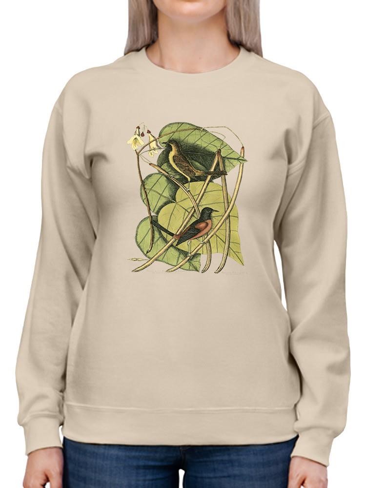 Baltimore Bird. Catalpah Sweatshirt -Mark Catesby Designs
