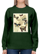 Butterflies In Nature I Sweatshirt -Megan Meagher Designs