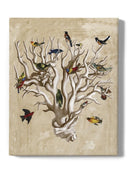 The Ornithologists Dream I Wall Art -Naomi McCavitt Designs