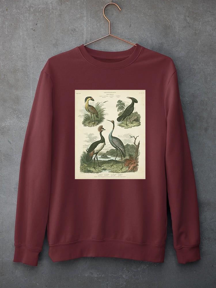 Heron And Crane Ii Sweatshirt -Sydenham Edwards Designs