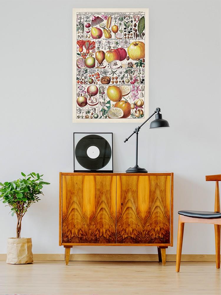 Fruit Chart Wall Art -Vision Studio Designs