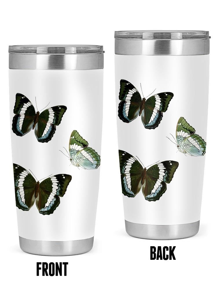 Butterfly Specimen Viii Tumbler -Vision Studio Designs