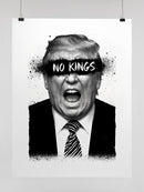 Floral and Avian Harmony Illustration UN Poster