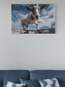 Skateboarding Goat Adventure Scene UN Poster