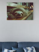 Nighttime Sloth Serenity UN Poster