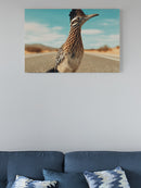 Majestic Roadrunner Desert Vibe UN Poster
