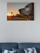 Golden Retriever Golf Sunset Scene UN Poster