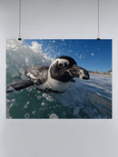 Surfing Penguin Ocean Adventure UN Poster
