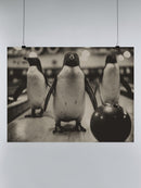Bowling Penguins Vintage Scene UN Poster