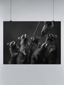 Raccoons United: Patriotic Stance UN Poster