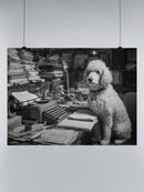 Literary Poodle at Vintage Desk UN Poster