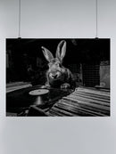 Vinyl Vibes: Bunny and Records UN Poster