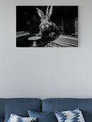 Vinyl Vibes: Bunny and Records UN Poster