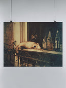 Opossum Chill Vibes with Bottles UN Poster