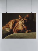 Tortie Cat on Velvet Sofa UN Poster