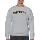 Charleston Tiger Print Arch Men's Sweatshirt