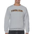 SCOTTSDALE Arched Tiger Lettering Men's Sweatshirt