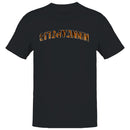Minneapolis Tiger Print Arch Men's T-shirt