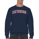 Bordrless Bold Arched Typography Men's Sweatshirt