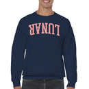 Why Not Motivational Mirror Text Men's Sweatshirt
