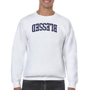 Blessed Arched Bold Typography Men's Sweatshirt