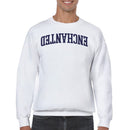 Enchanted Retro Curved Text Men's Sweatshirt