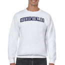Outnumbered Bold Vintage Typography Men's Sweatshirt