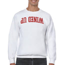 Wind Me Up Sarcastic Humor Men's Sweatshirt
