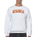 Pumpkin University Halloween Men's Sweatshirt