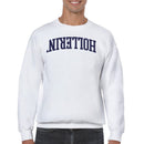 Holterin Retro Arched Lettering Men's Sweatshirt