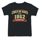 Cinco de Mayo 1862 Celebration Youth T-shirt