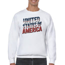 United States of America Distressed Men's Sweatshirt