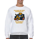 Please Do Not Interrupt My Sunday Routine Sweatshirt