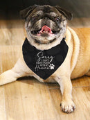 Sorry Have Plans Pet Bandana Small -SmartPrintsInk Designs
